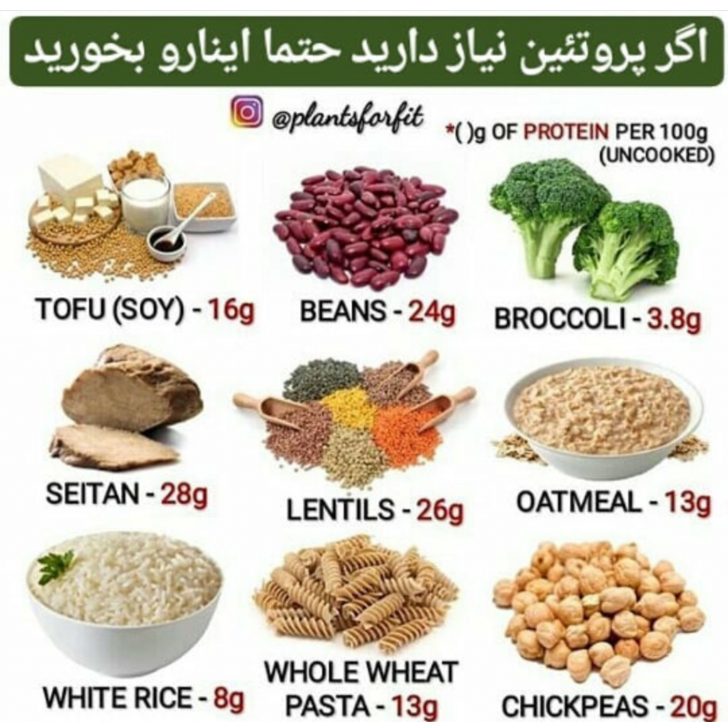 protein for vegans